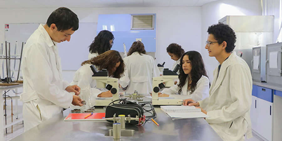 DESARROLLAN UAQ Y UNAM INVESTIGACIÓN SOBRE EL CONSUMO DE INSECTOS EN EL BAJÍO