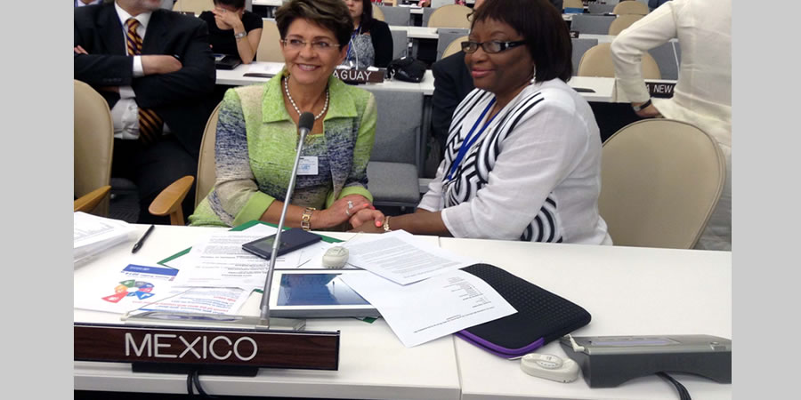 PARTICIPACIÓN DE ORGANIZACIONES MEXICANAS EN LA AUDIENCIA DE LA ONU SOBRE ENFERMEDADES NO TRANSMISIBLES