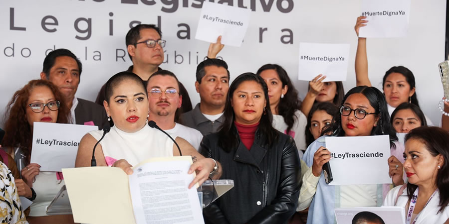 SENADORES IMPULSAN LA LEY TRASCIENDE Y BUSCAN DESPENALIZAR LA EUTANASIA EN MÉXICO SENADORES IMPULSAN LA LEY TRASCIENDE Y BUSCAN DESPENALIZAR LA EUTANASIA EN MÉXICO